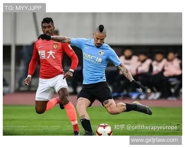 从少年到巨星全景展现足球明星的成长轨迹与奋斗故事